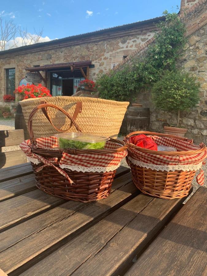 Wine Resort Colsereno Montalcino Exteriér fotografie