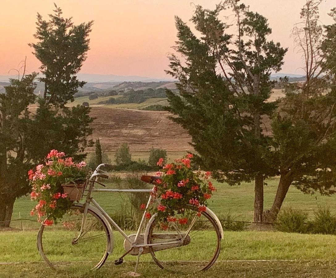 Wine Resort Colsereno Montalcino Exteriér fotografie