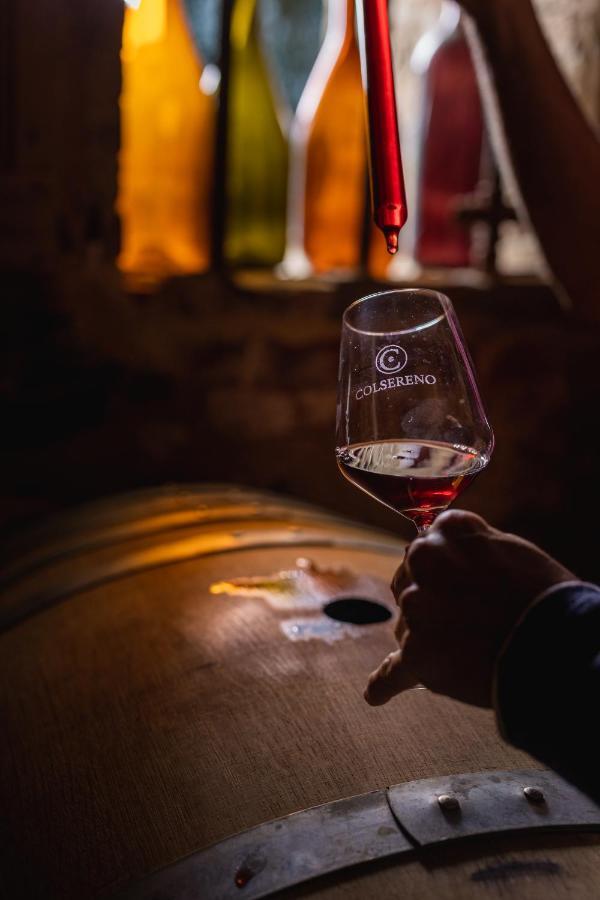 Wine Resort Colsereno Montalcino Exteriér fotografie