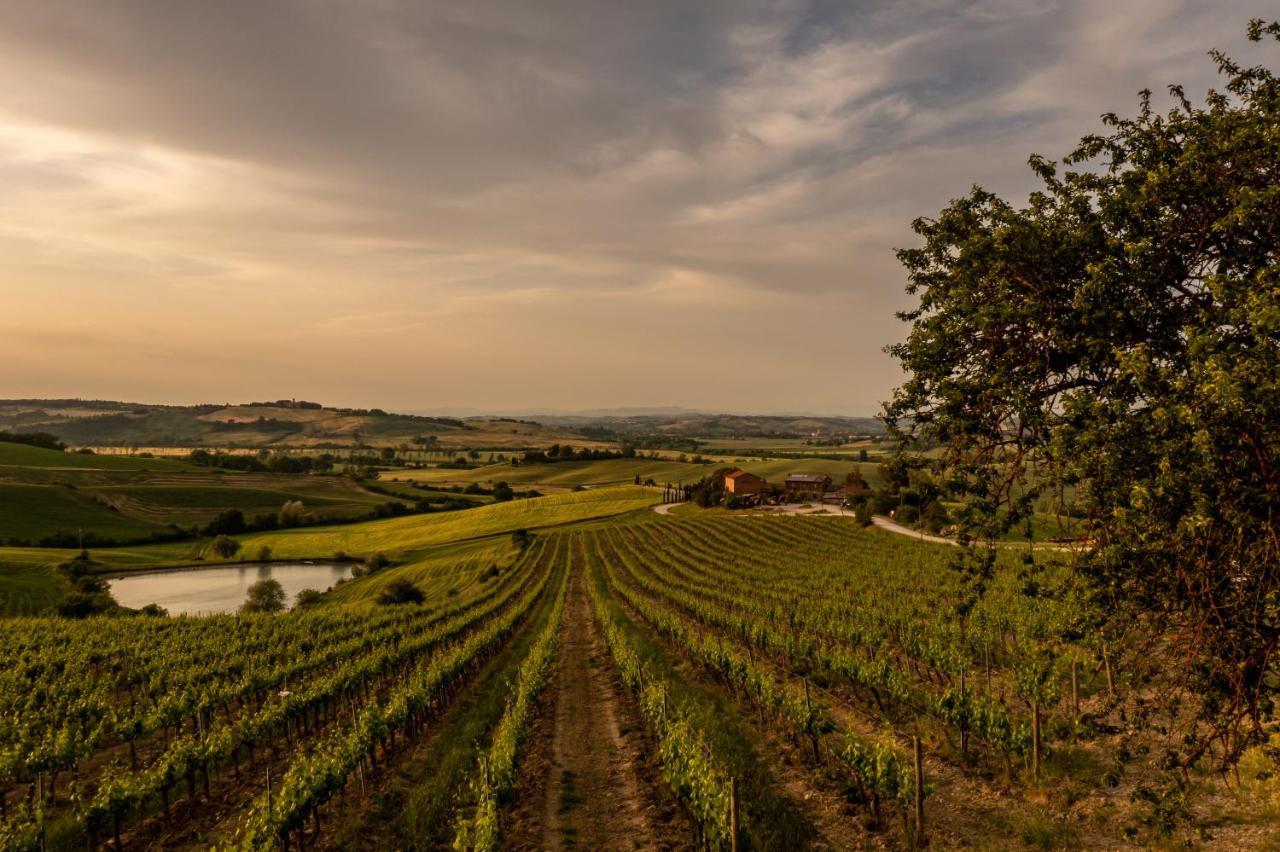 Wine Resort Colsereno Montalcino Exteriér fotografie