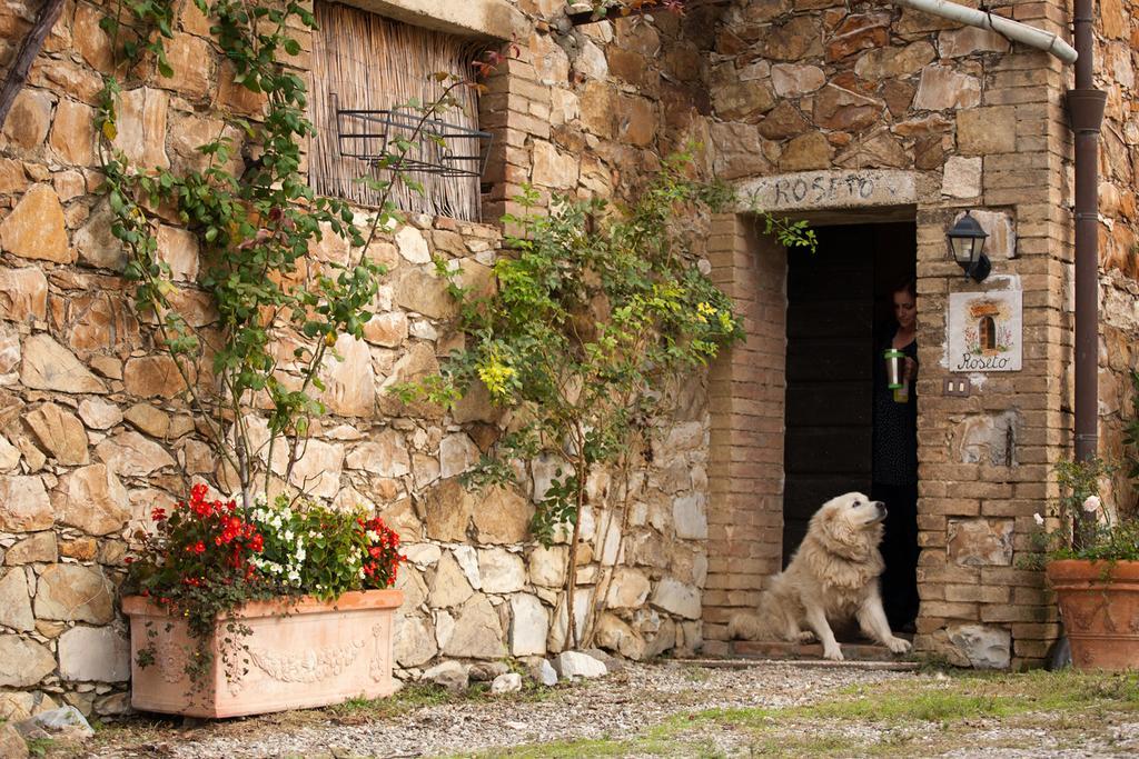 Wine Resort Colsereno Montalcino Exteriér fotografie
