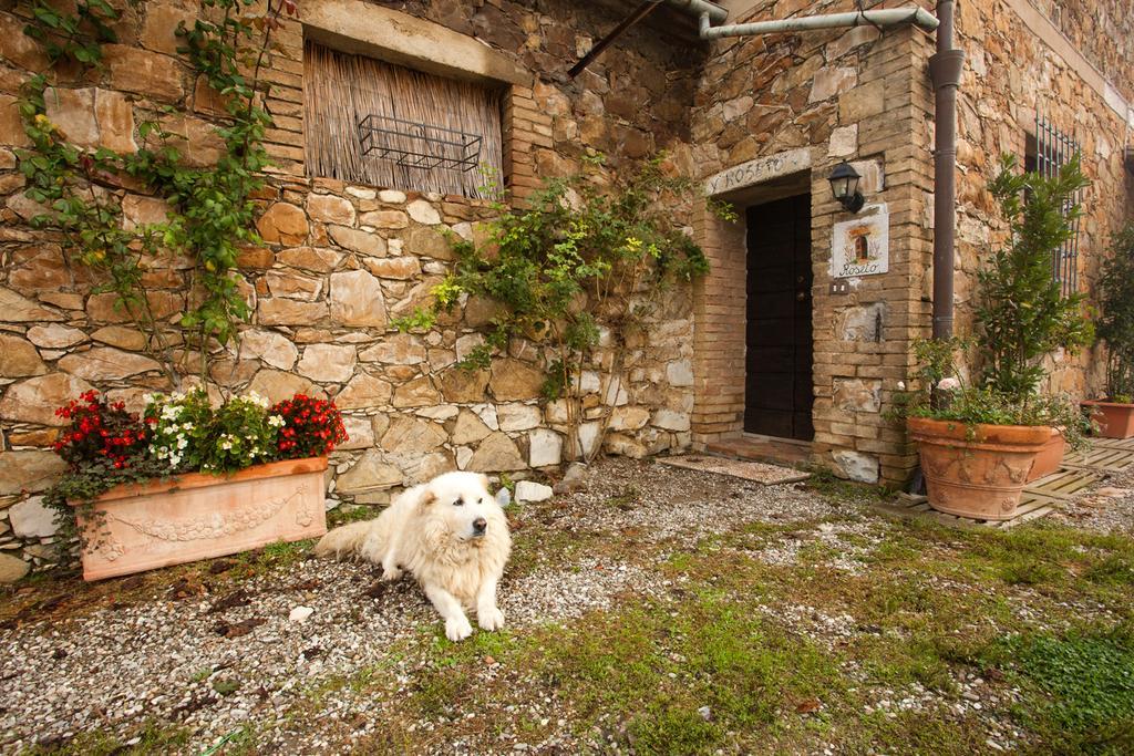 Wine Resort Colsereno Montalcino Exteriér fotografie