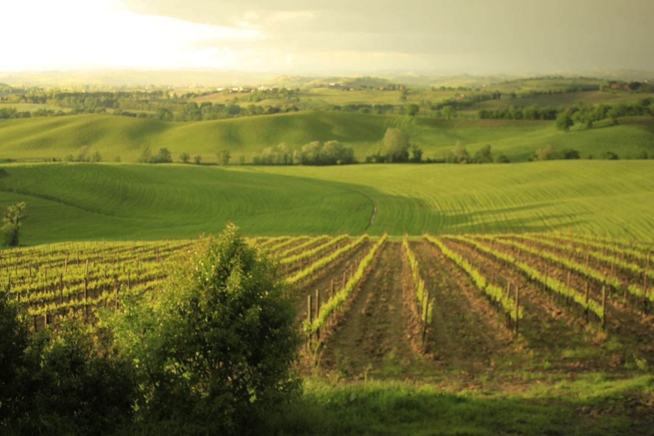Wine Resort Colsereno Montalcino Exteriér fotografie