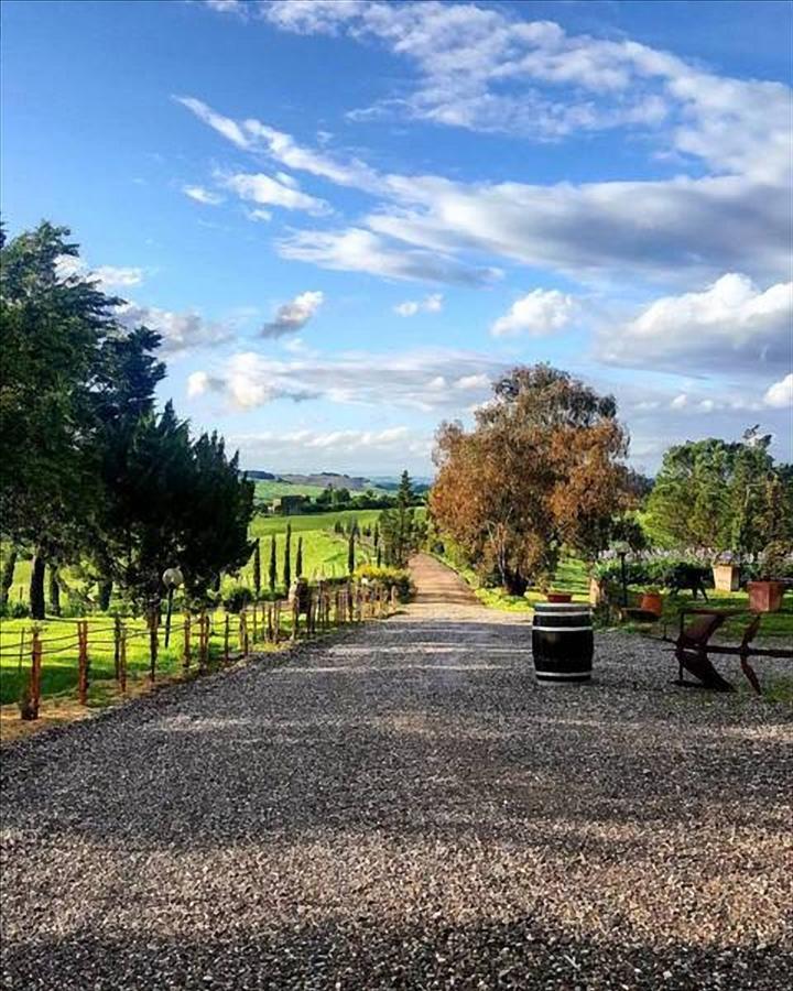 Wine Resort Colsereno Montalcino Exteriér fotografie