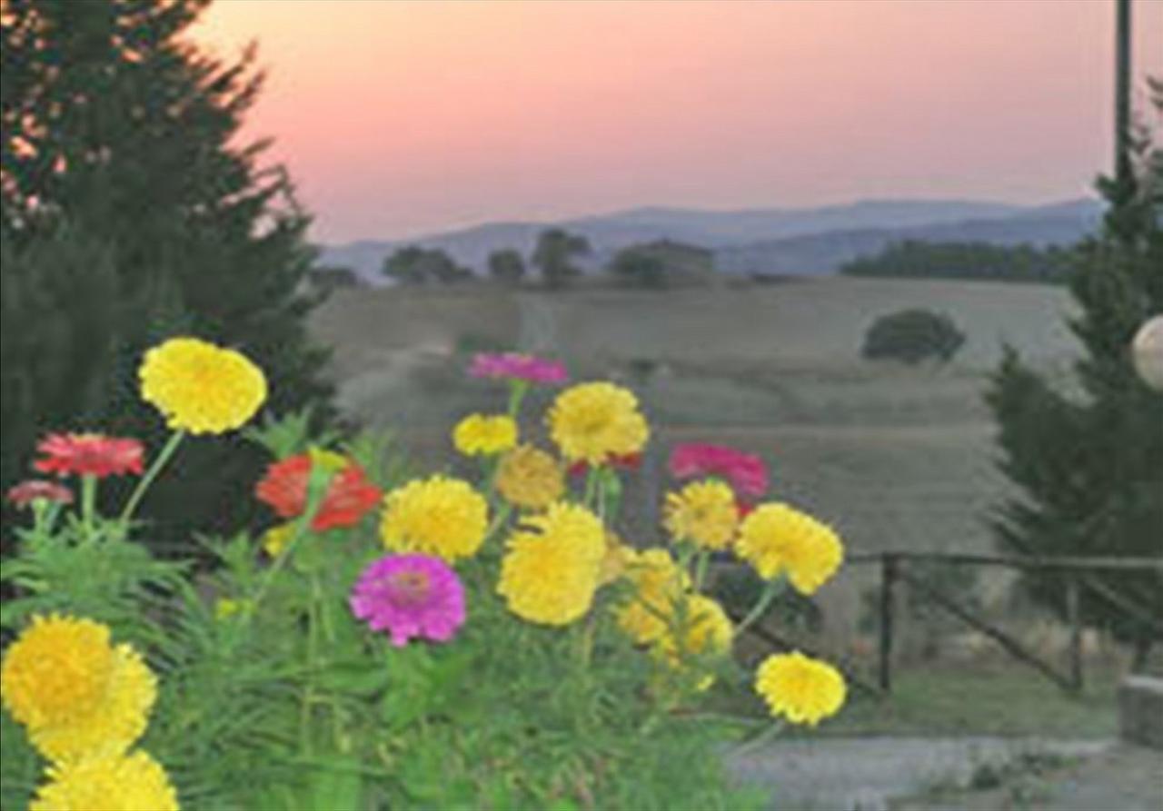 Wine Resort Colsereno Montalcino Exteriér fotografie