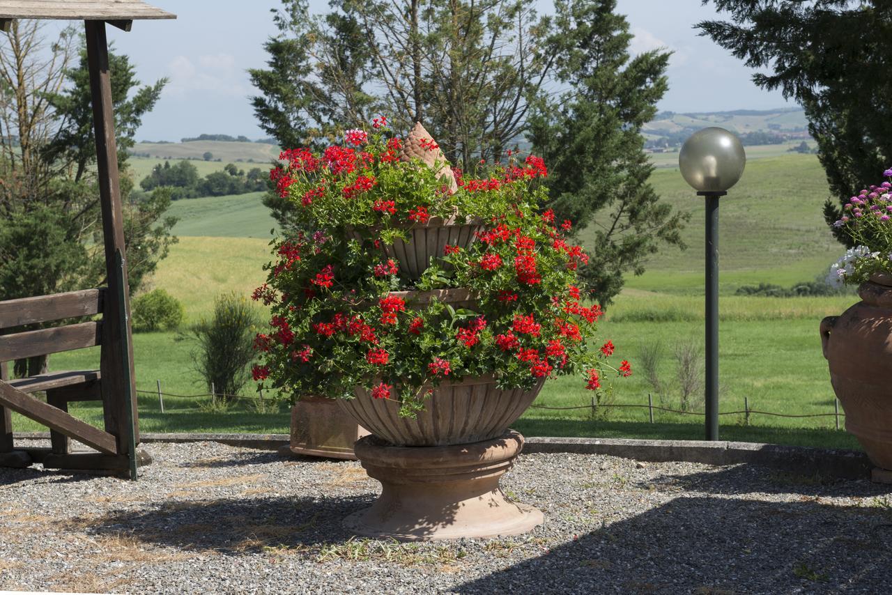 Wine Resort Colsereno Montalcino Exteriér fotografie