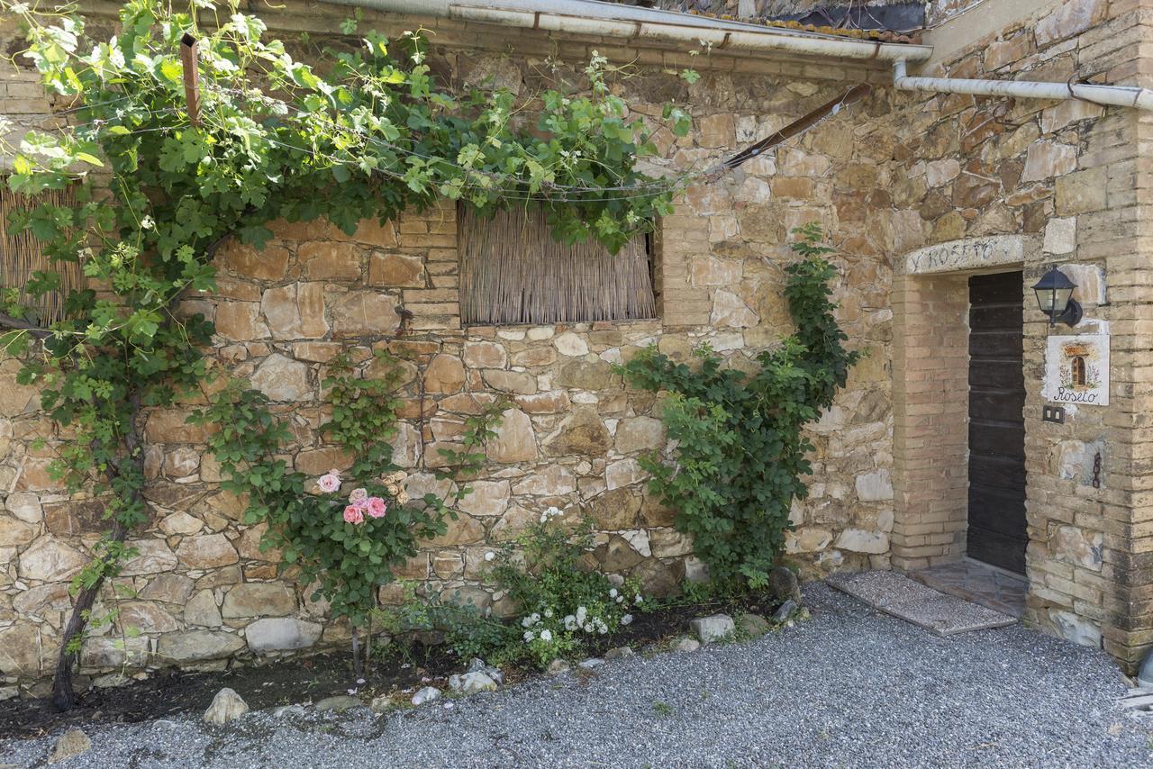 Wine Resort Colsereno Montalcino Exteriér fotografie