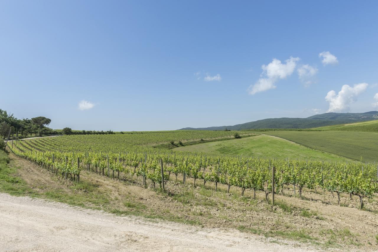 Wine Resort Colsereno Montalcino Exteriér fotografie