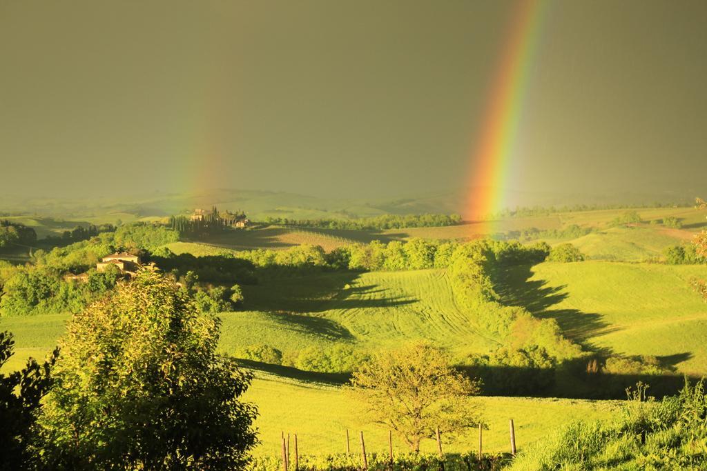 Wine Resort Colsereno Montalcino Exteriér fotografie